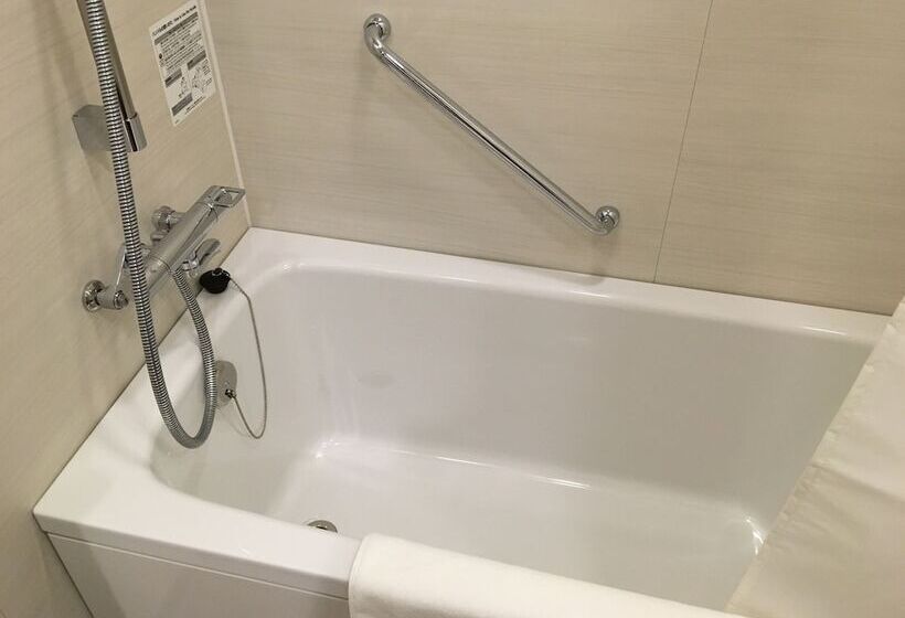 בית מלון כפרי Nihon Seinenkan