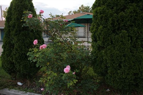 Отель Cascade Inn Niagara Falls