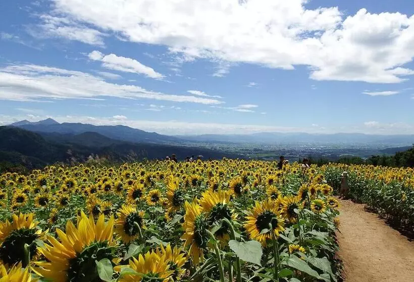 Отель Yamagataya