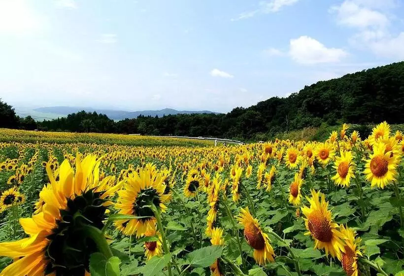 Отель Yamagataya