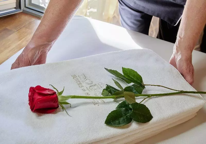 فندق Nexus Valladolid Suites &