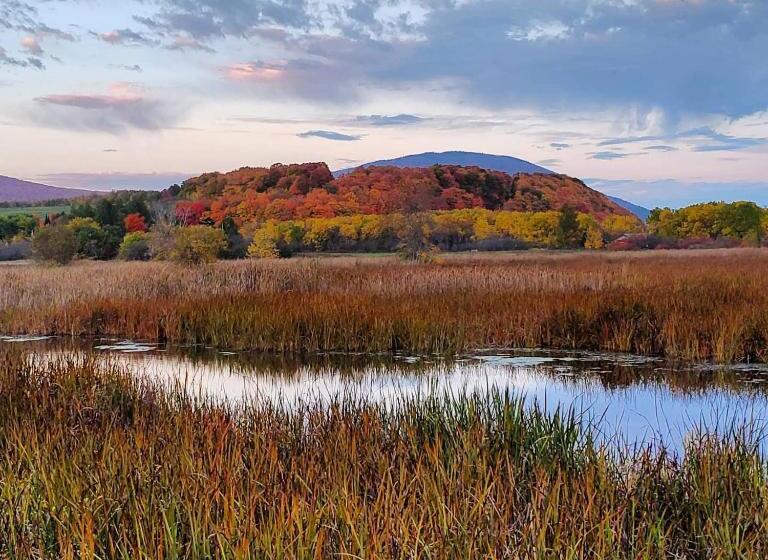 Les Chalets Sur Le Cap