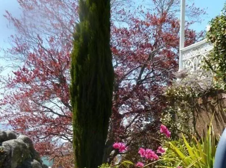 Hazel House Boutique Bed & Breakfast