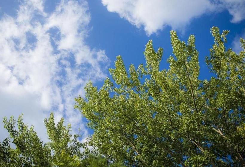 Hotel Yamashiro Onsen Midori No Yado Bansyoukaku