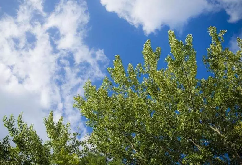 酒店 Yamashiro Onsen Midori No Yado Bansyoukaku