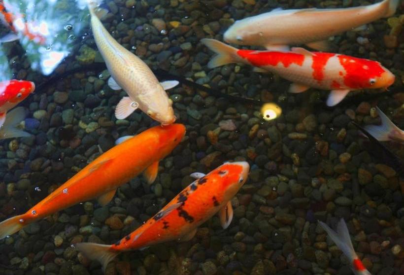 Hotel Yamashiro Onsen Midori No Yado Bansyoukaku