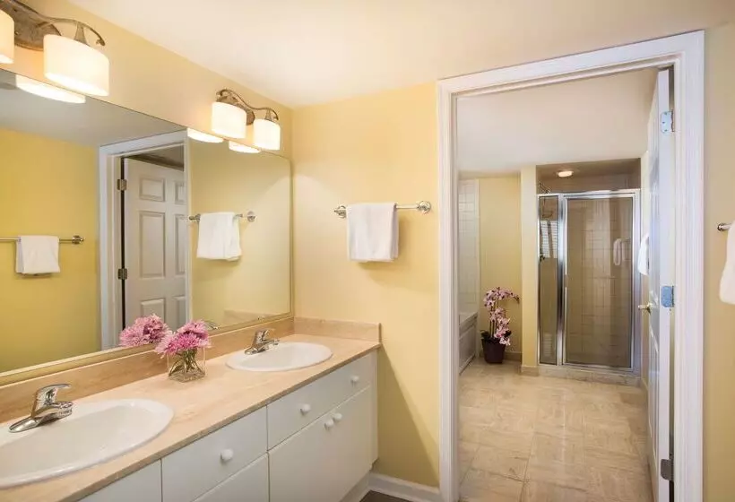 Kingston Plantation Condos