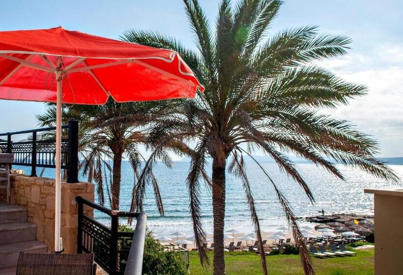 فندق Alexandra Beach