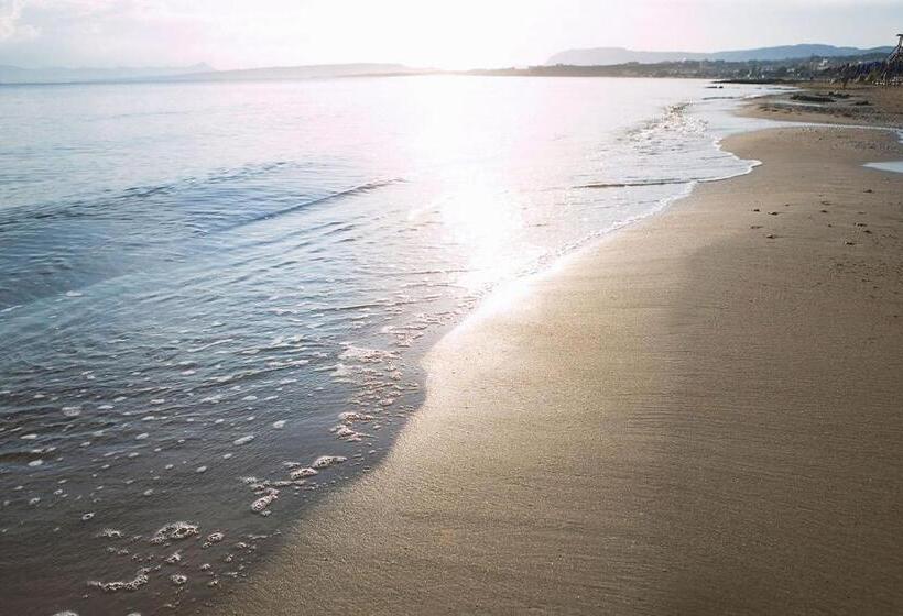 فندق Alexandra Beach