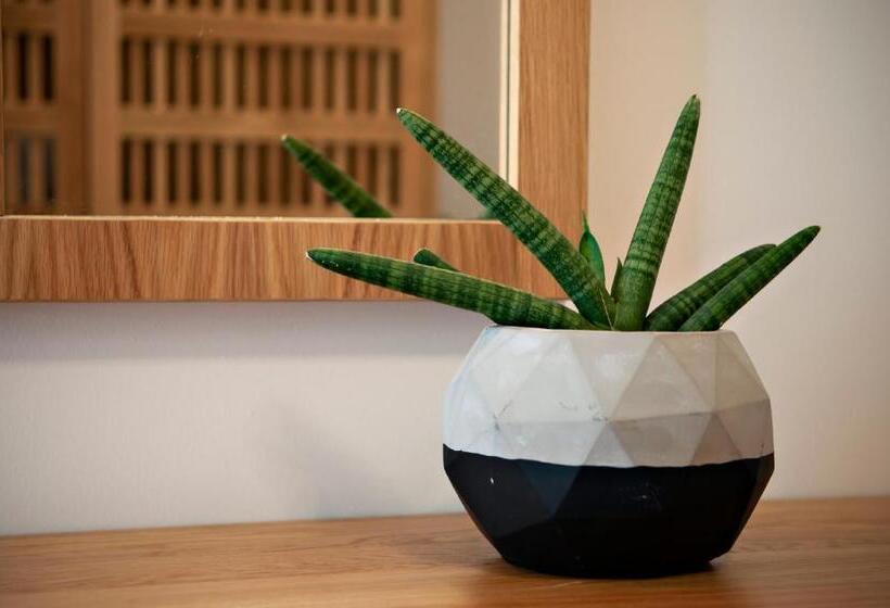 فندق Alexandra Beach