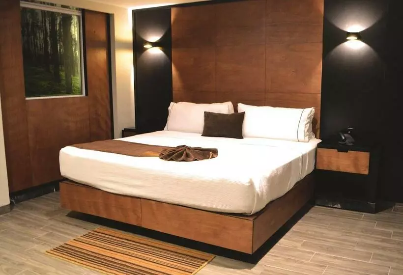 هتل Dali Plaza Ejecutivo