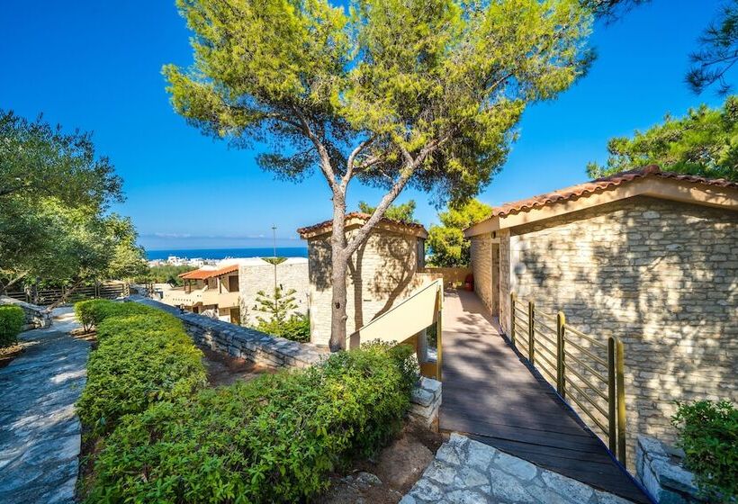 בית מלון כפרי Forest Park