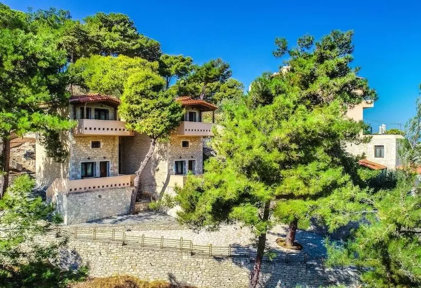 Отель Forest Park