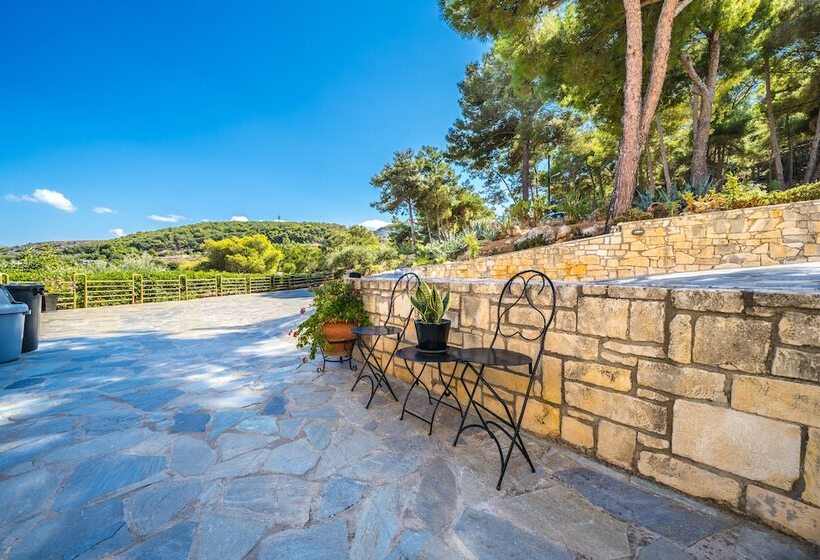 בית מלון כפרי Forest Park