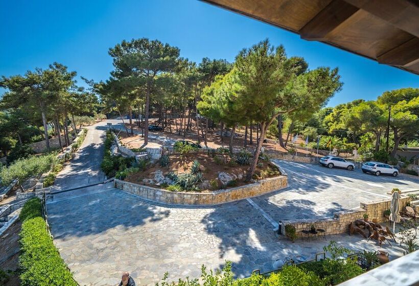 בית מלון כפרי Forest Park