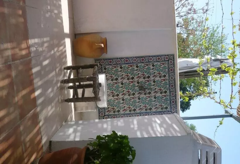 بنسيون Anzac Golden Bed