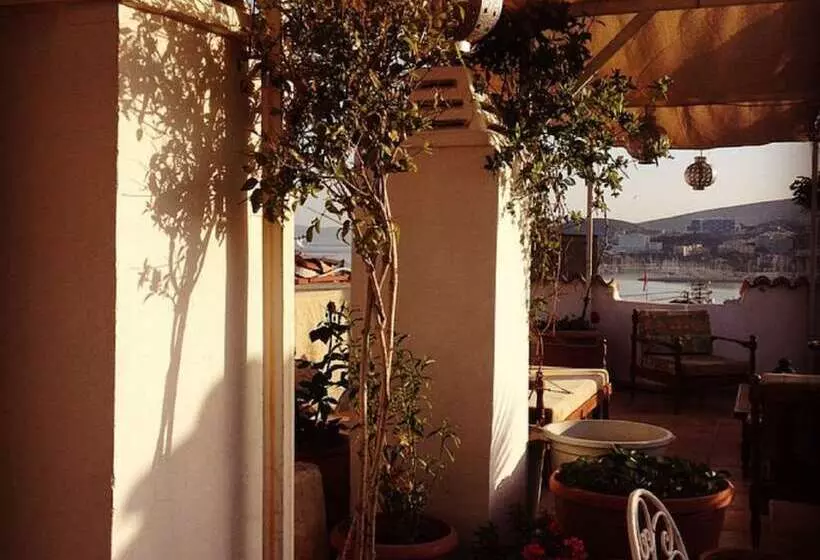 بنسيون Anzac Golden Bed