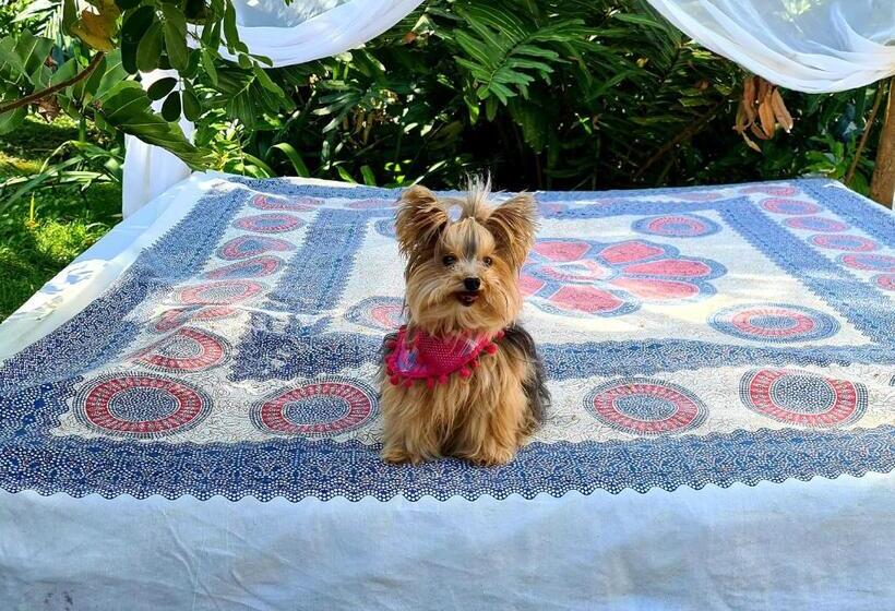 호스텔 Taman Buzios