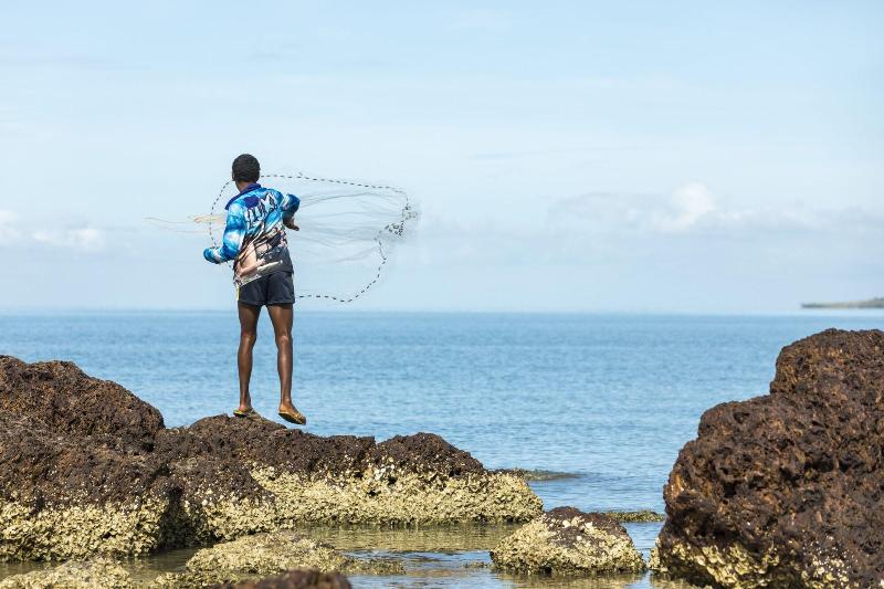 酒店 Albatross Bay Resort