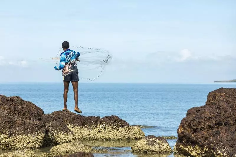 בית מלון כפרי Albatross Bay Resort