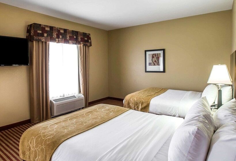 ホテル Comfort Suites