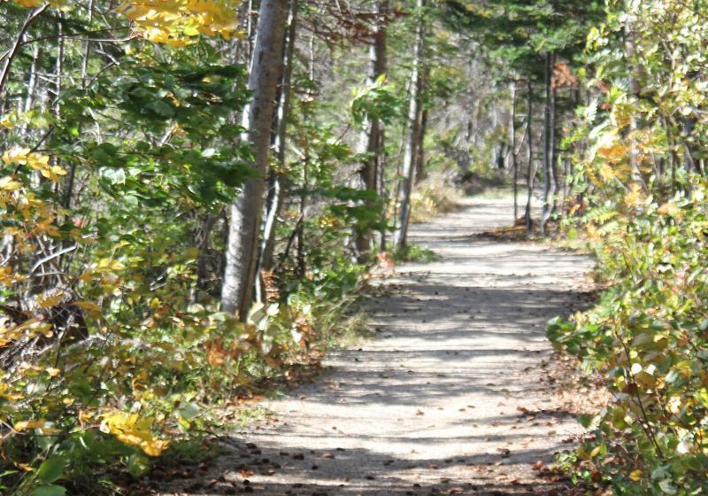 בית מלון כפרי Holiday Inn Express Deer Lake, An Ihg