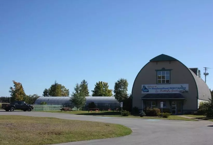 酒店 Holiday Inn Express Deer Lake, An Ihg