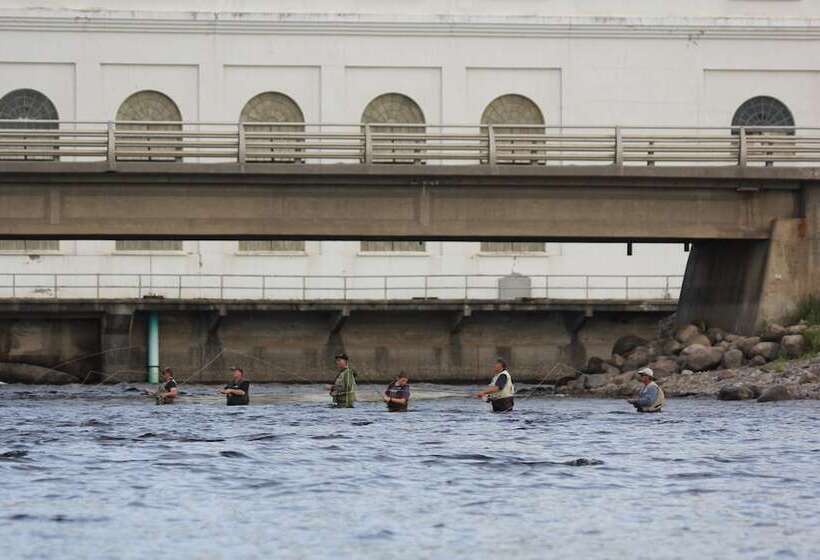 בית מלון כפרי Holiday Inn Express Deer Lake, An Ihg