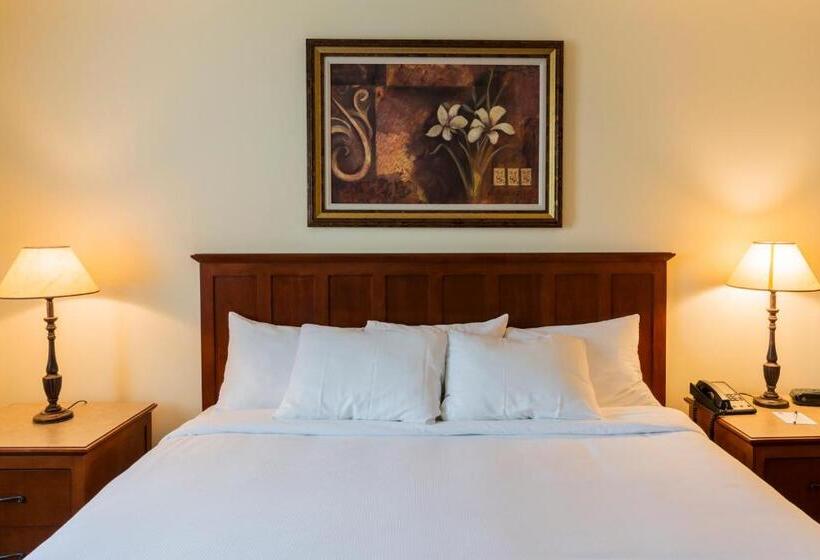 ホテル Hôtel St Bernard