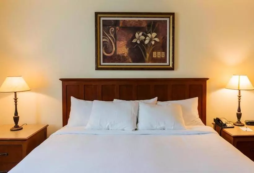 Hotelli Hôtel St Bernard