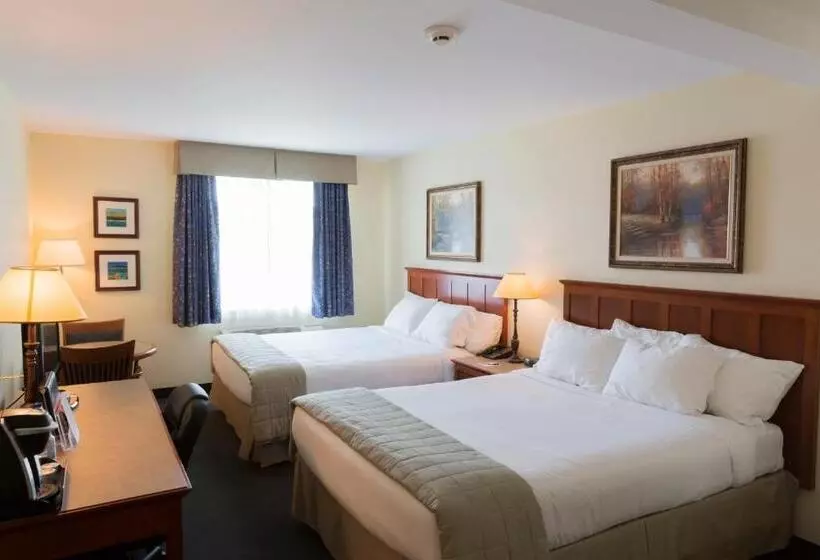 Hotelli Hôtel St Bernard