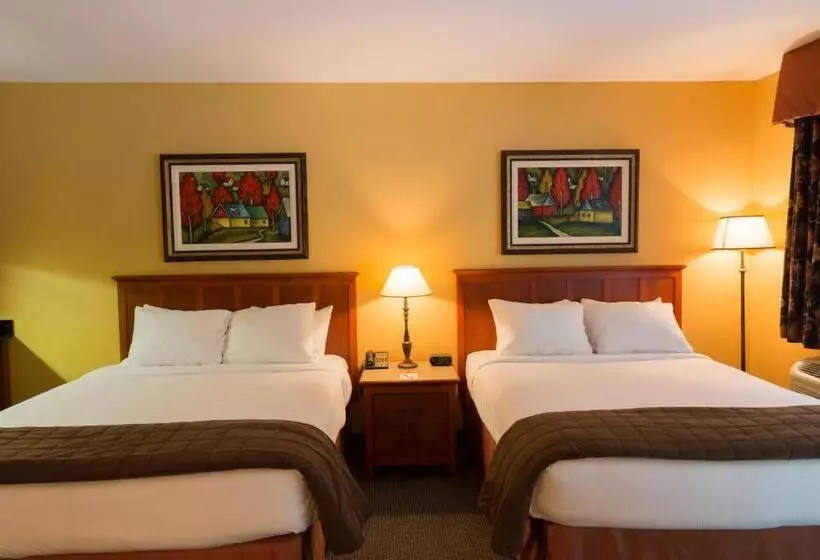 Hotelli Hôtel St Bernard