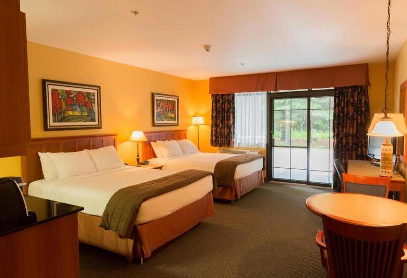 ホテル Hôtel St Bernard