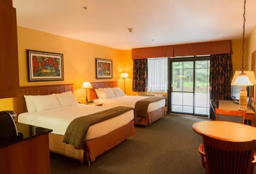 Hotelli Hôtel St Bernard