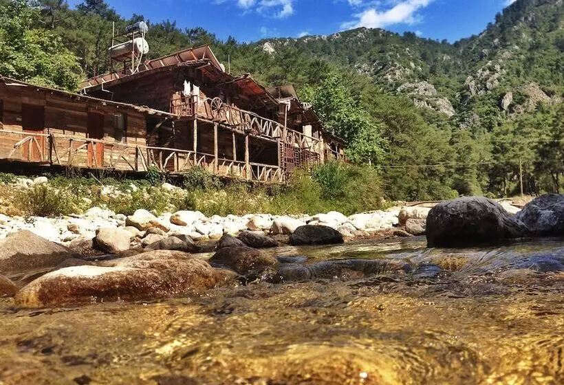 هاستل Kadir S Top Tree Houses