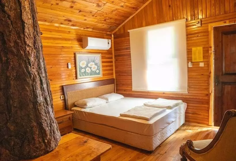 هاستل Kadir S Top Tree Houses