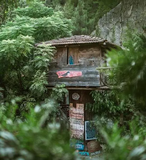 هاستل Kadir S Top Tree Houses