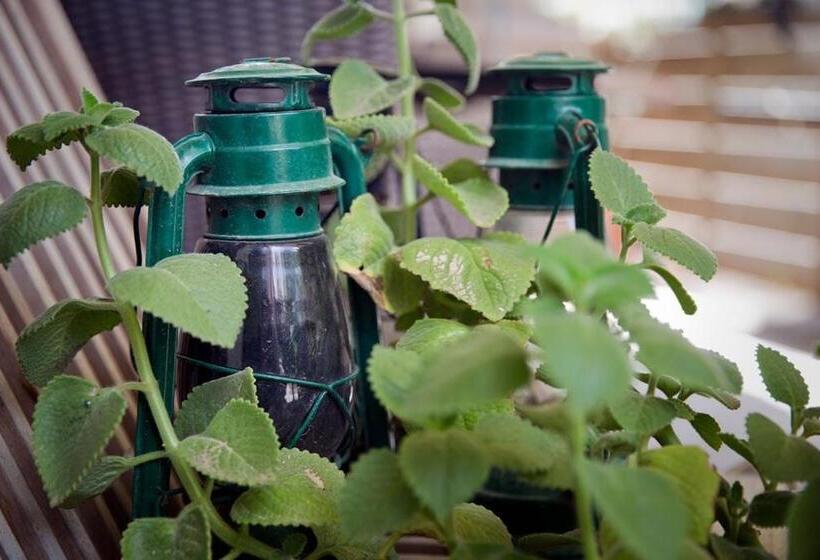 The Downtown Hotel Bonaire