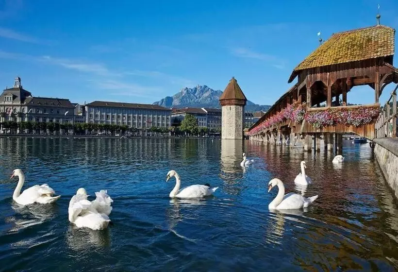 Hotel Le Stelle Self Check In