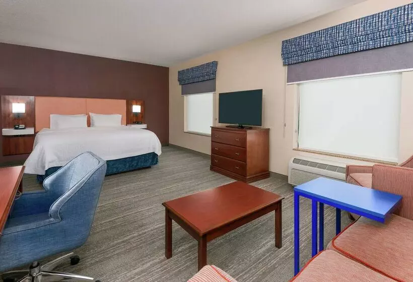 فندق Hampton Inn Springfield South Enfield