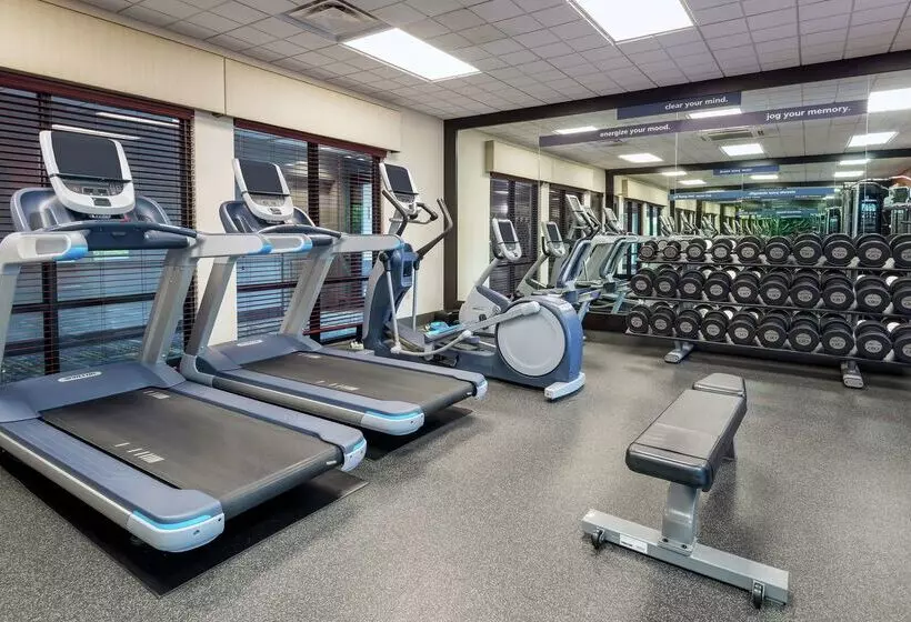 فندق Hampton Inn Springfield South Enfield