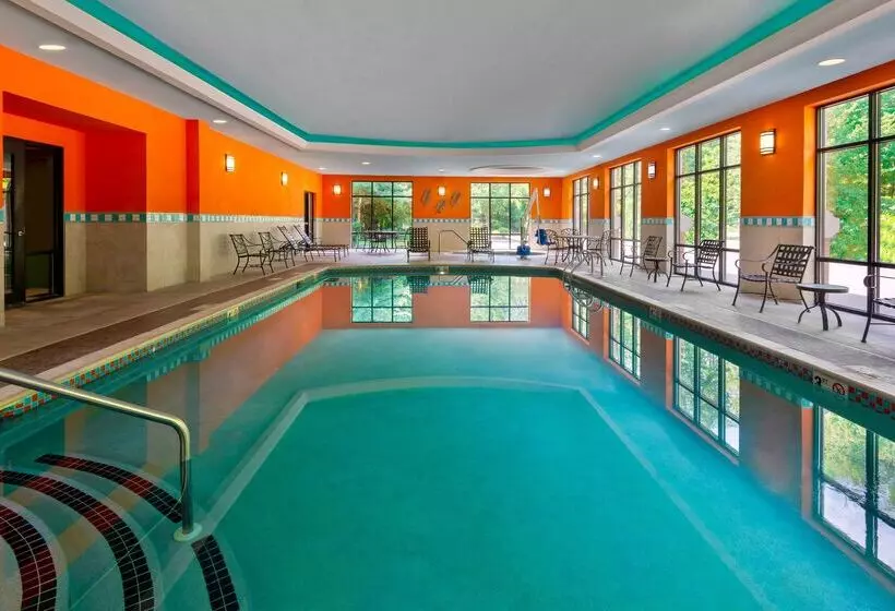 فندق Hampton Inn Springfield South Enfield