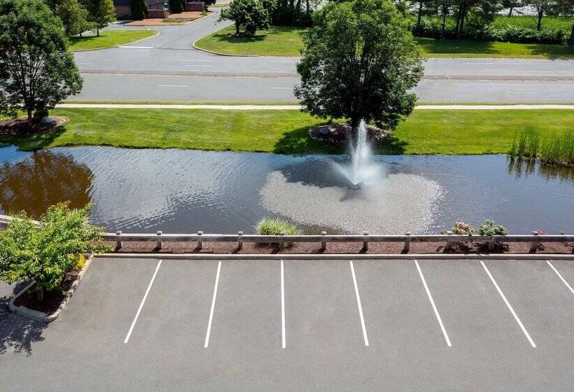 فندق Hampton Inn Springfield South Enfield