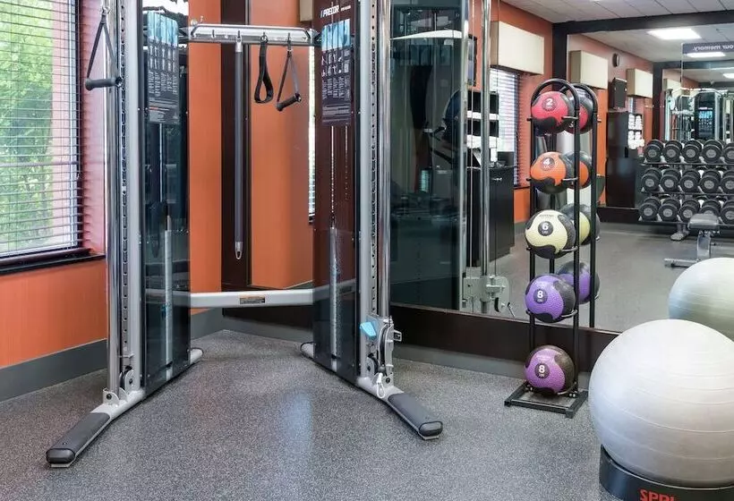 فندق Hampton Inn Springfield South Enfield