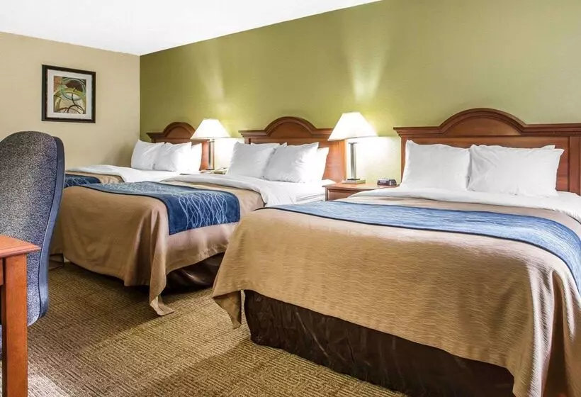 Отель Quality Inn Dariennorth Brunswick