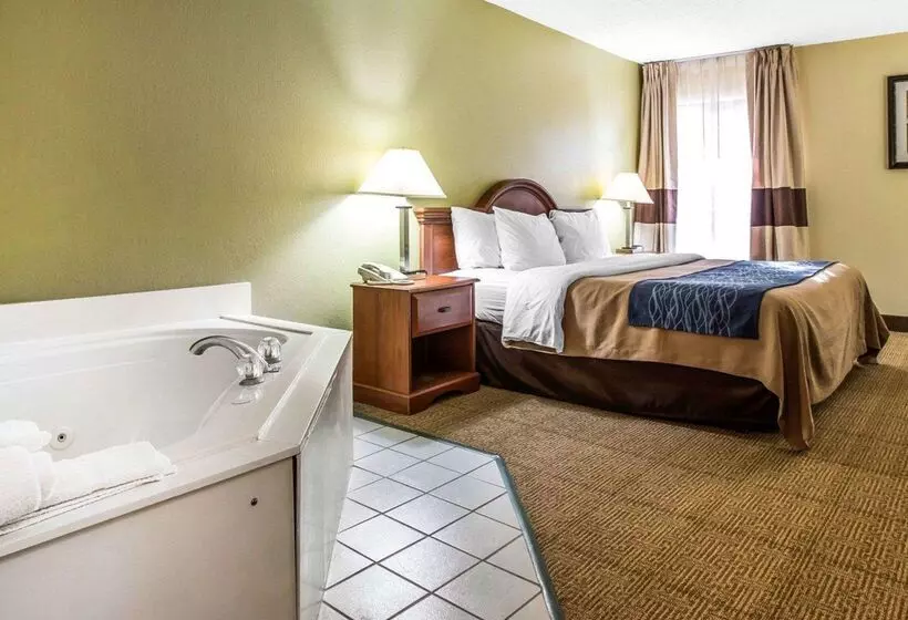 Отель Quality Inn Dariennorth Brunswick