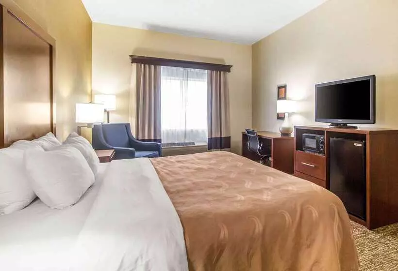 酒店 Quality Suites