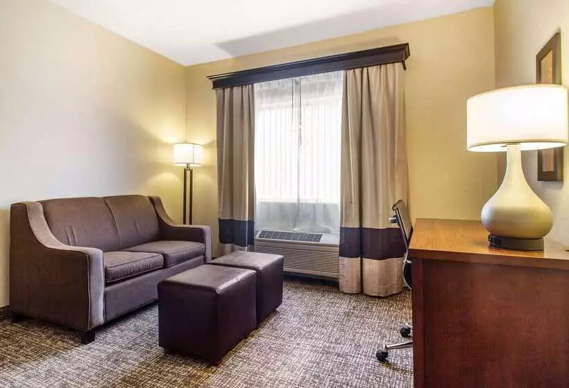 酒店 Quality Suites