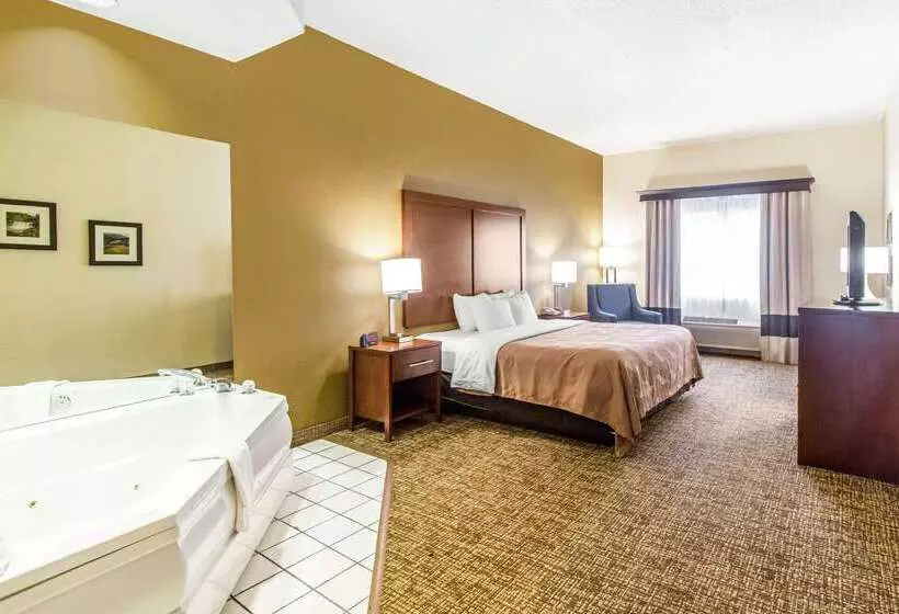 酒店 Quality Suites