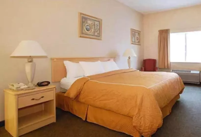 酒店 Quality Suites